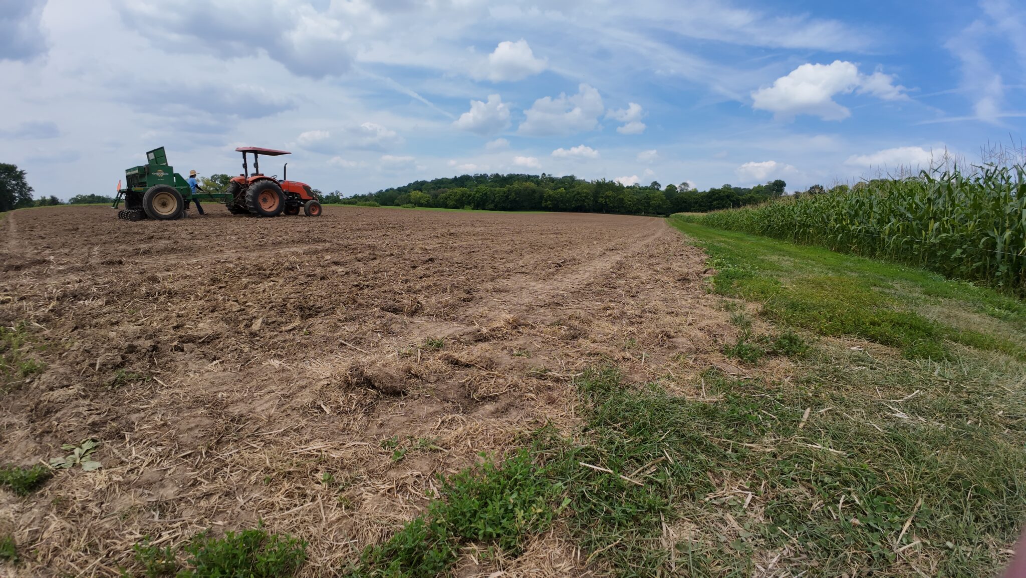 A staggered planting being added to the sunflower field